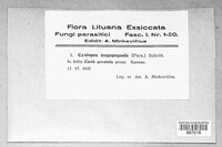 Image Associated With the Occurrence